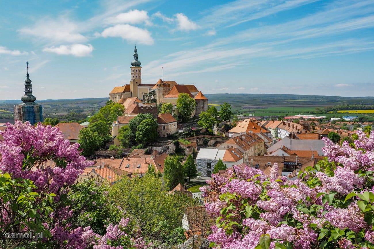 Panorama Mikulova w Czechach