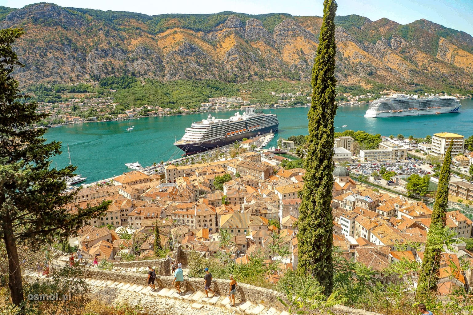 Widok na Kotor Czarnogóra