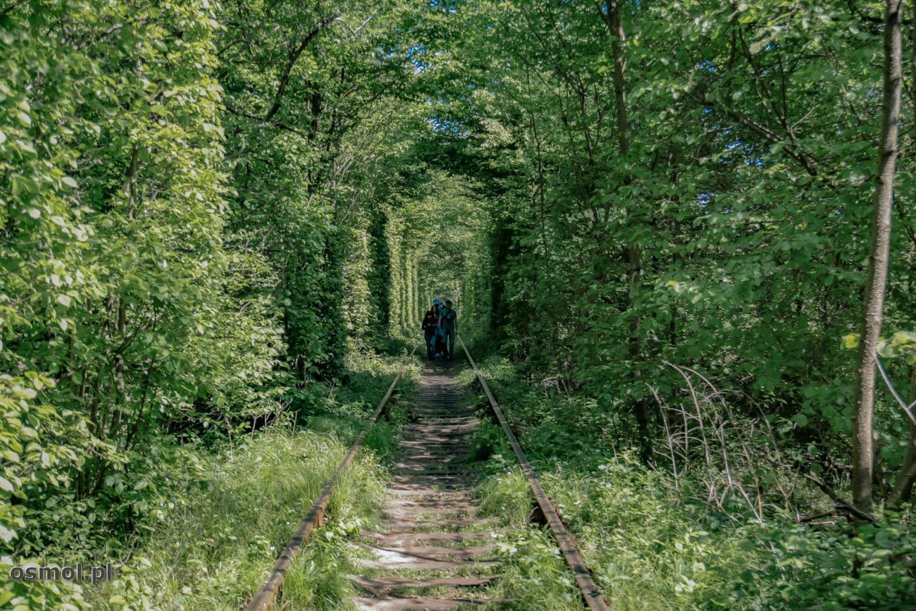 Ukraina Tunel Miłości zwany też przez Ukraińców Tunelem Kochania