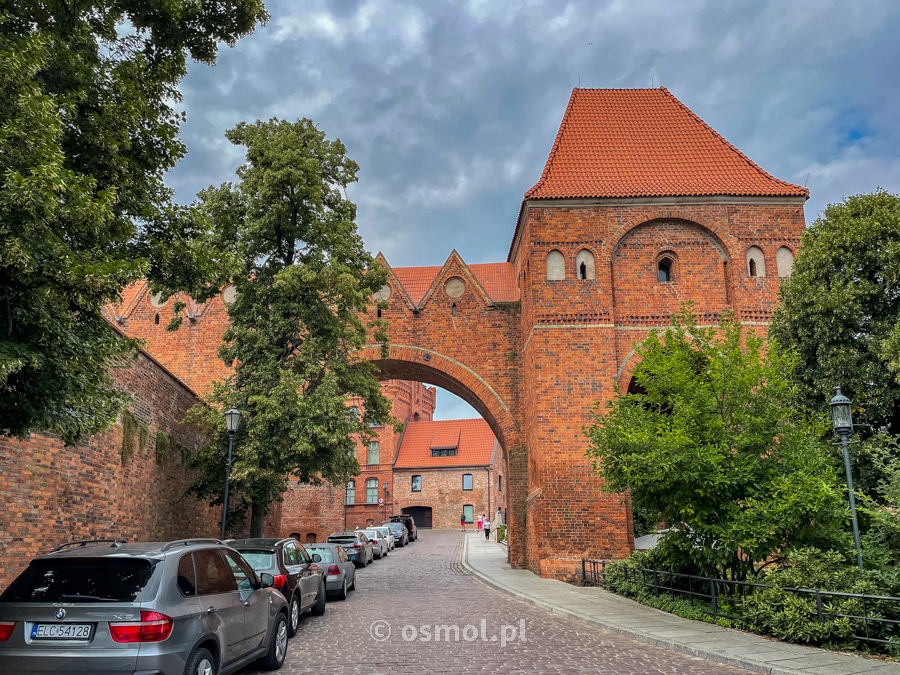 Zamek krzyżacki w Toruniu