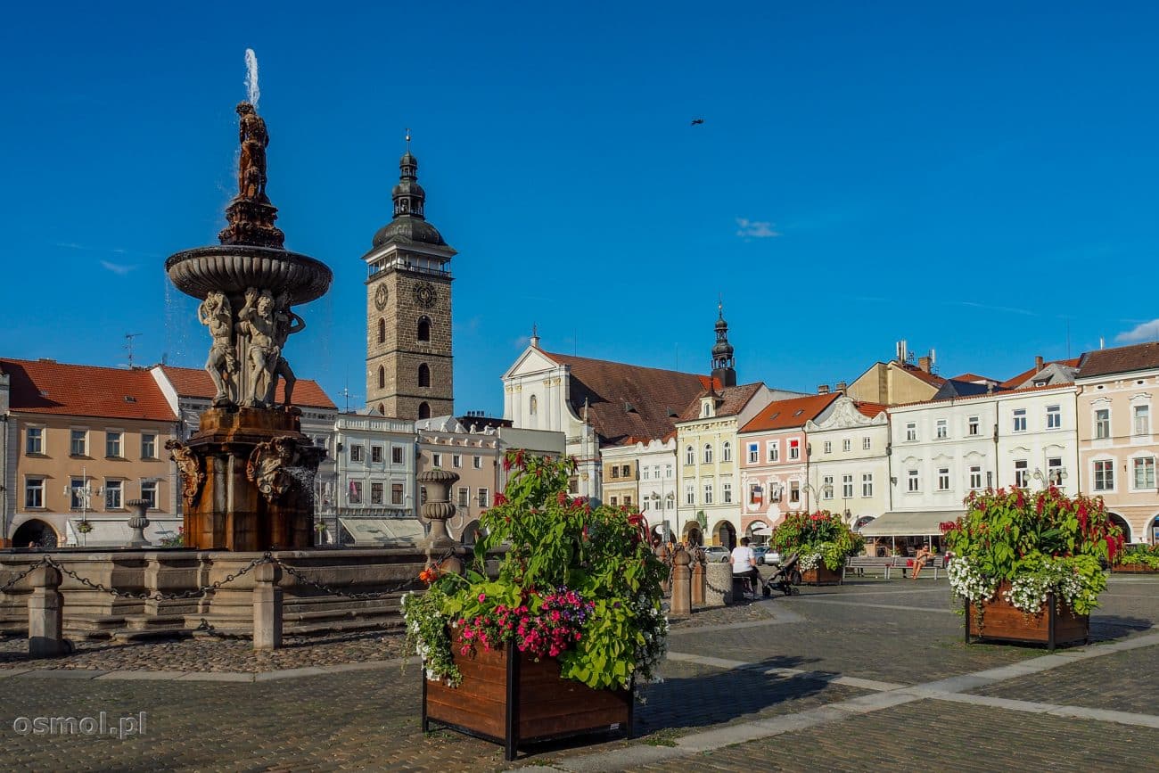 Rynek w Czeskich Budziejowicach i fontanna Samsona