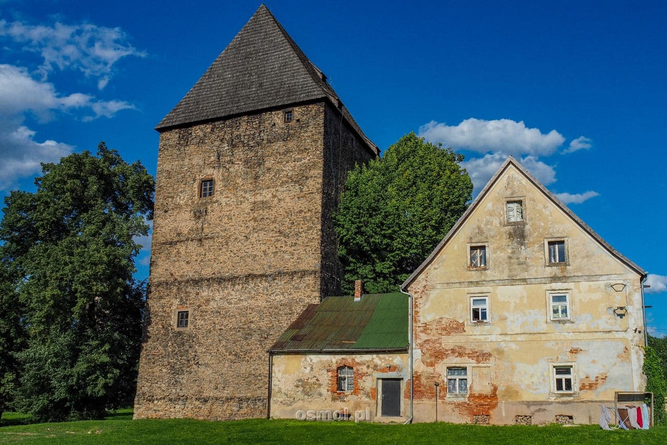 Wieżą książęca w Siedlęcinie