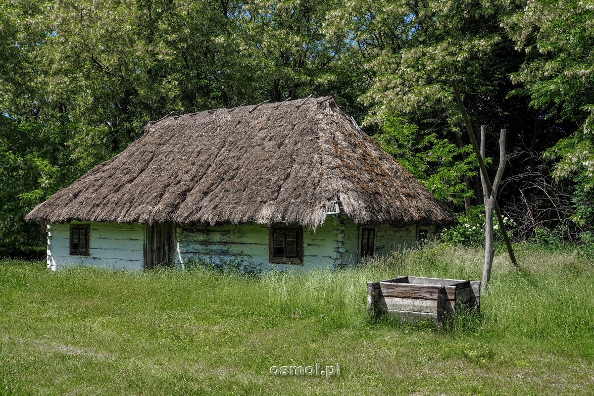 Chałupa wiejska z drugiej połowy XIX wieku