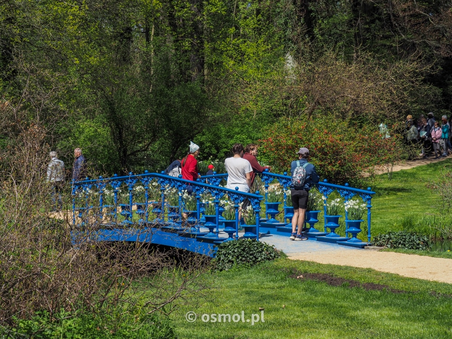 Park Mużakowski to także finezyjne mostki i zaciszne miejsca