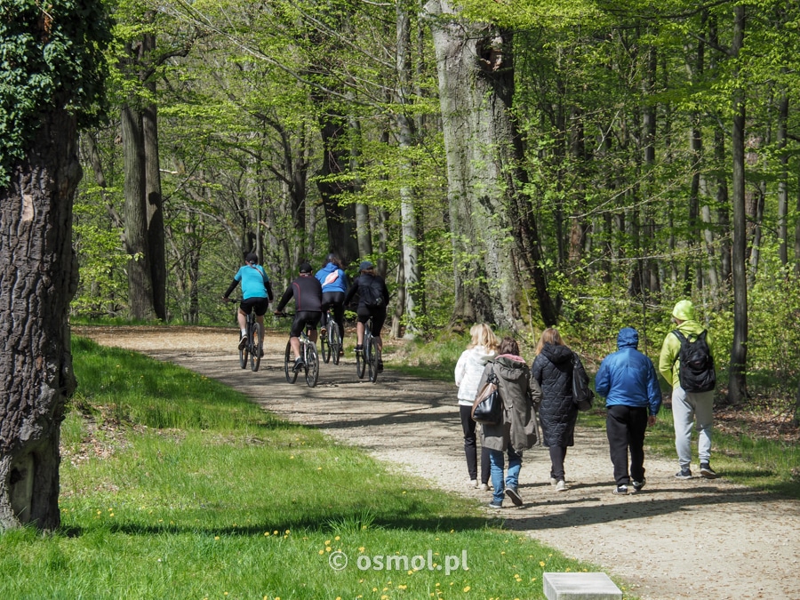 Park Mużakowski najszybciej i najlepiej zwiedza się rowerem, ale jeśli mamy czas, można to też zrobić pieszo.