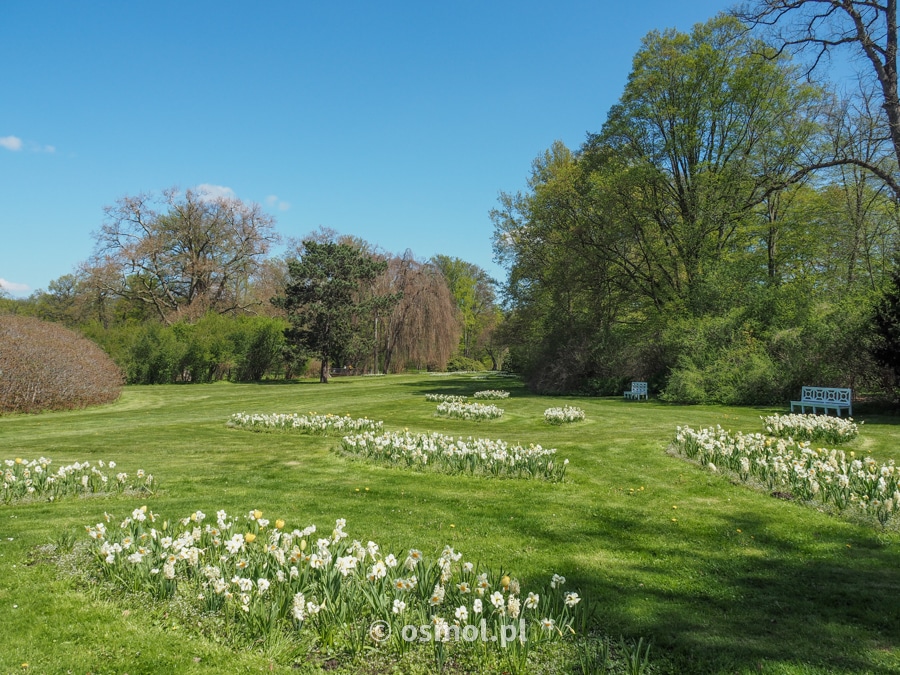 Park Mużakowski wczesną wiosną