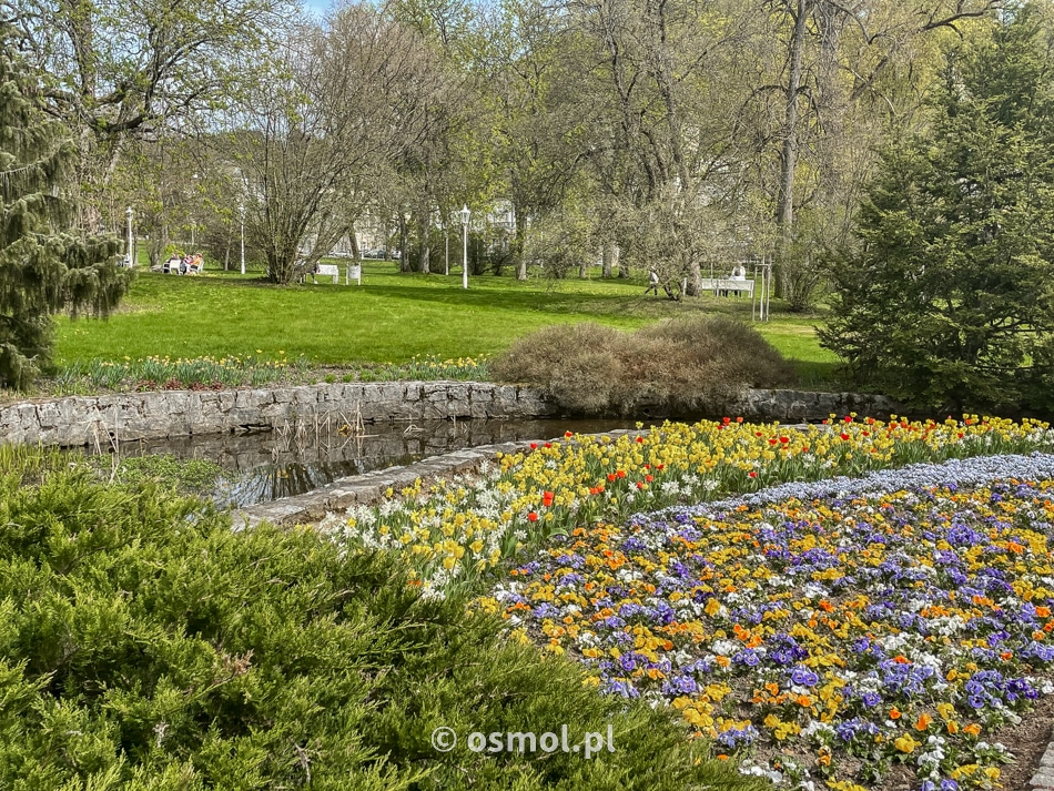 Wiosenny park w Mariańskich Łaźniach