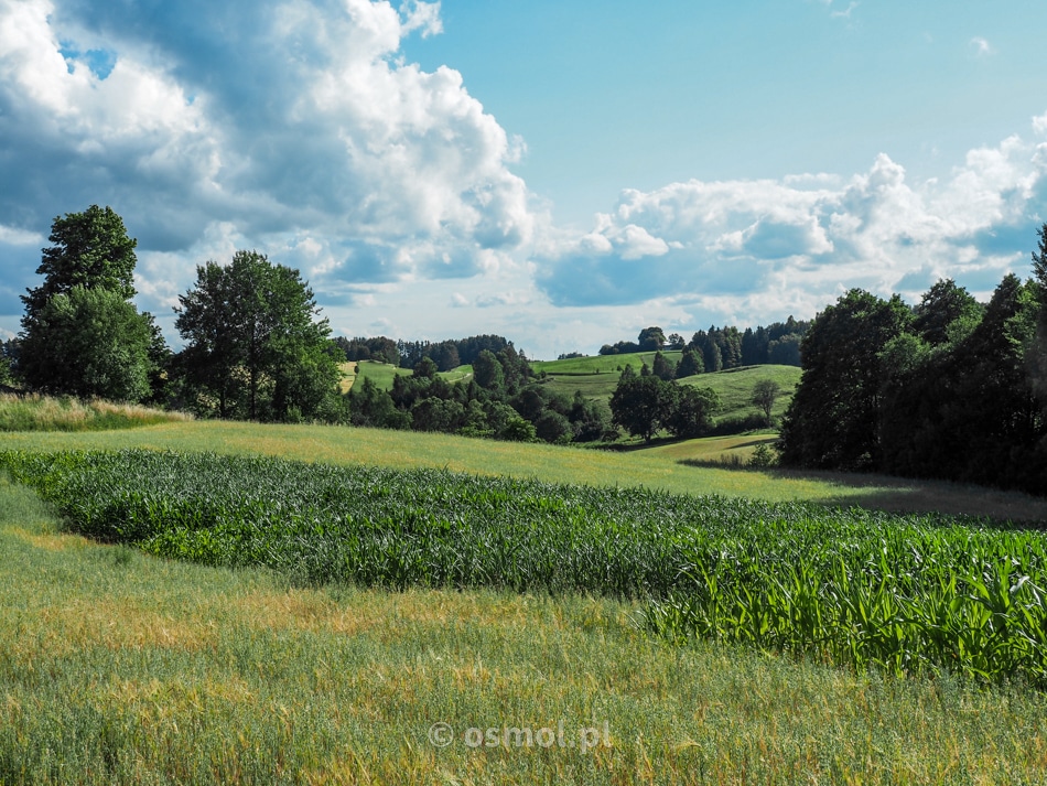 Panorama okolicy mostów